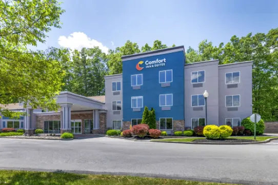 Comfort Inn & Suites Saratoga Springs Hotels in Wilton
