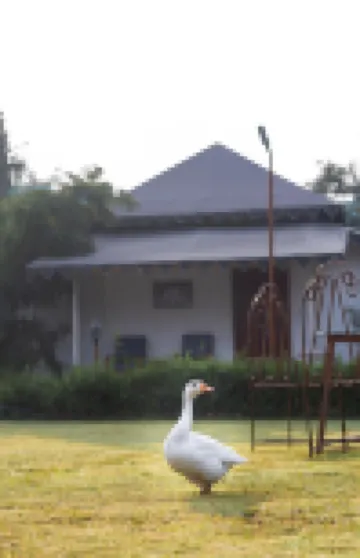 Atithi Luxury Resort