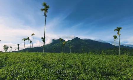 Aldora Holiday Homes Отели рядом с достопримечательностью «Kakkadampoyil.hills view vythiri»