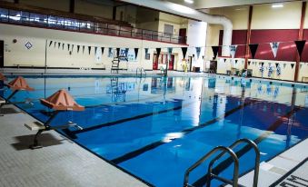 Stfx University Summer Hotel