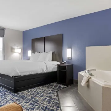 Best Western Canton Inn
