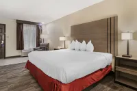 Best Western of Alexandria Inn  Suites  Conference Center