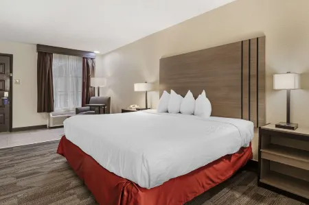 Best Western of Alexandria Inn  Suites  Conference Center