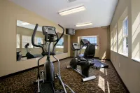 Microtel Inn & Suites by Wyndham Council Bluffs/Omaha - Gym