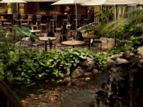 Embassy Suites by Hilton Lubbock Hotels in Lubbock