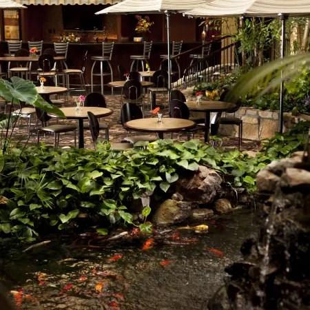 Embassy Suites by Hilton Lubbock