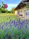 Charming country house