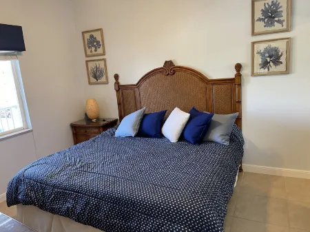 Breath taking views of sunsets and Dolphins 🐬