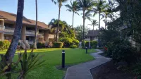 New Central AC! Oceanfront Steps from the Beach, with Pool, Jacuzzi, & BBQ. - شاطئ