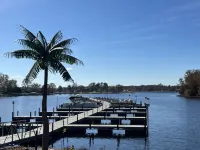 Blue Oasis