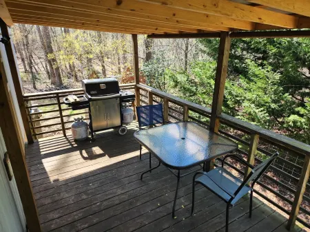 Beautiful home on 5 acre gated horse farm 3.5 miles from Tryon Equestrian Center