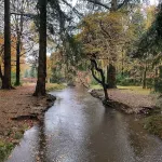 A stroll to Ringwood, near to New Forest & South Coast Beaches. Private Parking