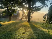 Scenic 4-bedroom Farm House, Tree Farm & Arboretum with trails in Sugar Grove