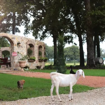 Fortunata Winery Villa #5, Elegant Stay for 4