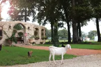 Fortunata Winery Villa #5, Elegant Stay for 4