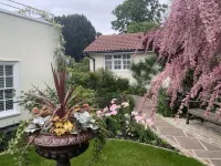 Garden Retreat for two in Thames Ditton Village Các khách sạn ở 