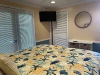 Dolphin View House #1