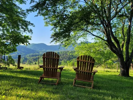 Countryside Mountain House with Awesome Views Отели рядом с достопримечательностью «Блу-Ридж-Паркуэй»