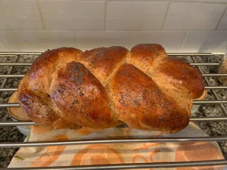 PERFECT ESCAPE For Total Privacy, Rustic Modern Cabin, 15 Pvt. Ac, WiFi, Heat/AC