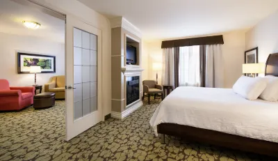 Hilton Garden Inn West Edmonton Hotels near World Waterpark