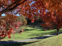 Deer Crossing — Cozy comfort with hot tub and firepit