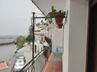 Casa Mixa con Decoración Exclusiva, Estilo Industrial