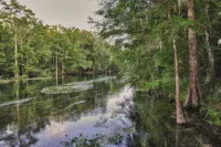 Relax on a Beautiful River in a Natural Florida Setting