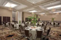 Embassy Suites by Hilton Tuscaloosa Alabama Downtown
