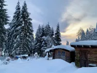 Gemütliches Ferienapartment auf dem Rennsteig Hotel a Rennsteig