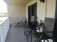 🌴Bayfront Indian Shores Suite with Resort Perks! 🐬🏝️