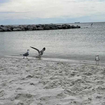 Bay cottage, Beach 100 yards away! RESERVE NOW!!!