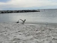 Bay cottage, Beach 100 yards away! RESERVE NOW!!!