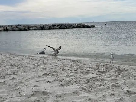 Bay cottage, Beach 100 yards away! RESERVE NOW!!! Отели в г. Кейп Чарльз