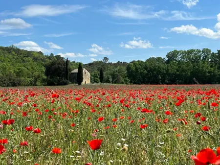 January: Special Works Prize