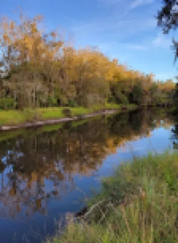 Charming Waterfront Cottage