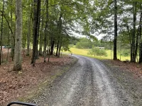 Beautiful & peaceful cabin w deck, garden, firepit & walking trails.