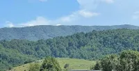 The Nest on Mill