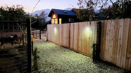 Tiny house experience with horses, goats and pigs. Near Sequoia National Park