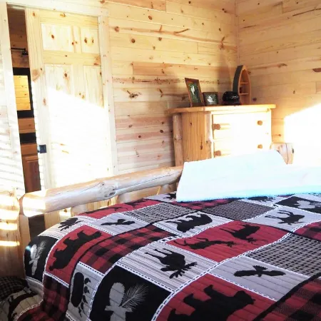 Enjoy privacy in this newly built cabin with spectacular view of North Star Lake
