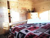 Enjoy privacy in this newly built cabin with spectacular view of North Star Lake