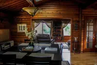 ✨Rustic Cabin in Dry Creek Valley with beautiful views // 5 miles to Plaza ✨
