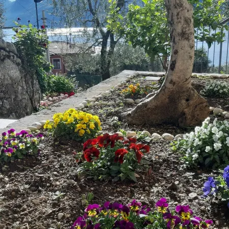 Apartment Orchidea with beautiful lake view