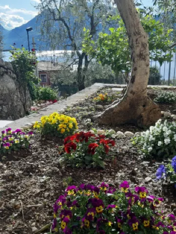 Apartment Orchidea with beautiful lake view