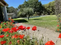 Provencal farmhouse on a hillside surrounded by centuries-old olive and oak trees
