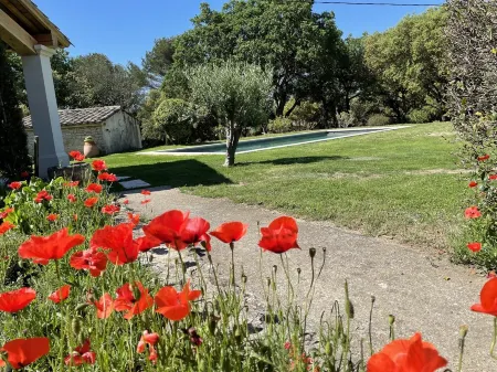 Provencal farmhouse on a hillside surrounded by centuries-old olive and oak trees