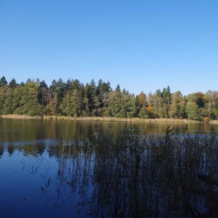 NEW - Cottage on the lake only 750m forest path to Libbesickesee
