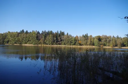 NEW - Cottage on the lake only 750m forest path to Libbesickesee Отели в г. Уккермарк