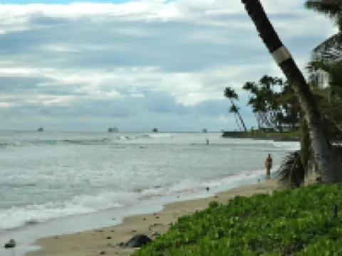 Puamana Ocean Front Tropical Paradise 226-1 โรงแรมในลาไฮนา