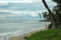 Puamana Ocean Front Tropical Paradise 226-1