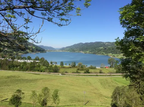 Sunny comfort apartment in country style newly renovated with infrared sauna